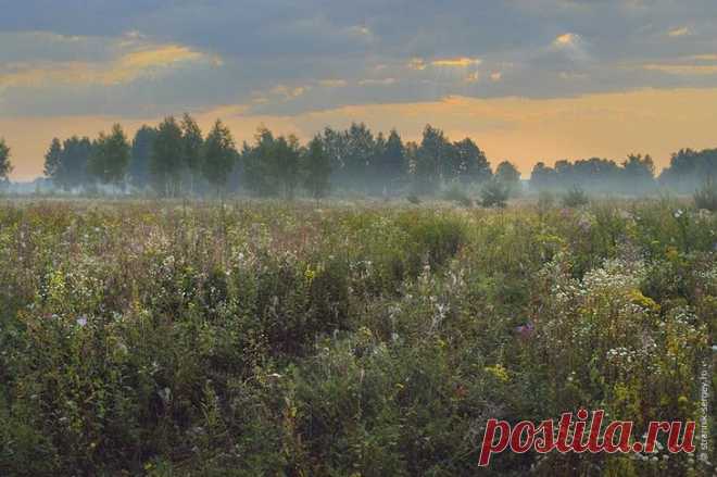Времена года | Природа планеты в объективе