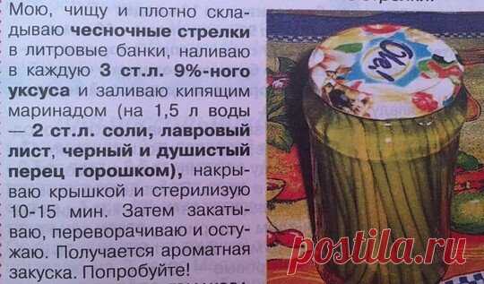 ЗАГОТОВКИ НА ЗИМУ.
   ЗАКУСКА ИЗ ЧЕСНОЧНЫХ СТРЕЛОК.
ИДЕЯ ДЛЯ ТЕХ, КОМУ ЖАЛКО ВЫБРАСЫВАТЬ КРАСИВЫЕ ТОЛСТЕНЬКИЕ ЧЕСНОЧНЫЕ СТРЕЛКИ.