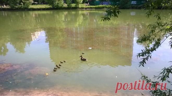 Тамара Терпелова (Филатова)
66 лет, Россия, г. Люберцы (Люберецкий район)
все её фото