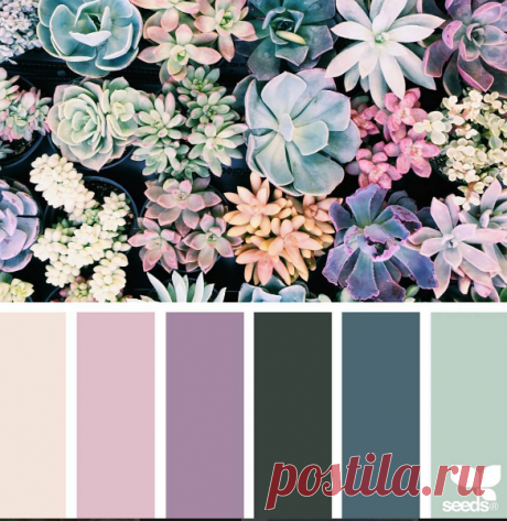 jessica colaluca (@designseeds) • Фото и видео в Instagram