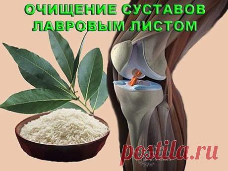 Очищение суставов. Очищение суставов

Очищение суставов – это их освобождение от различных солей и неорганического кальция, которые на них скапливаются, уменьшая их эластичность. Перед тем как очищать суставы обязательн…