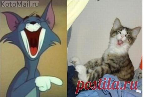 ЕЩЁ КОТЭ