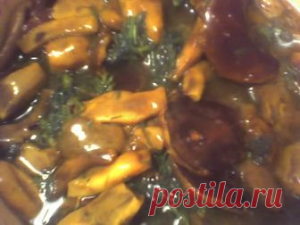 Соленые грибочки