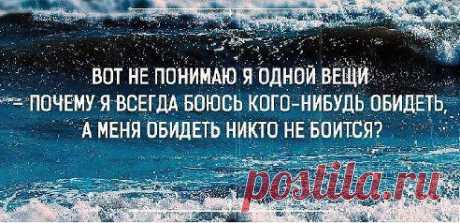 (3) Одноклассники