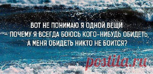 (3) Одноклассники