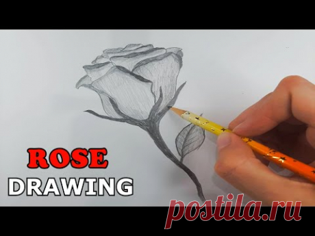 Rose Drawing EASY | How to Draw a Rose