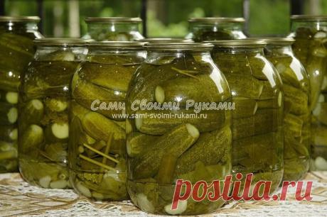 Огурцы в горчичной заливке - несколько вкусных рецептов | Сами своими руками