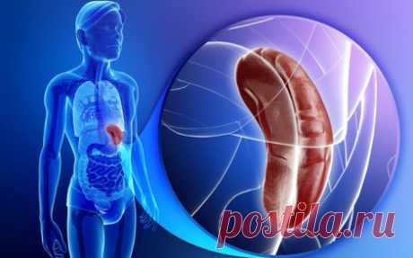 Новости - МирТесен