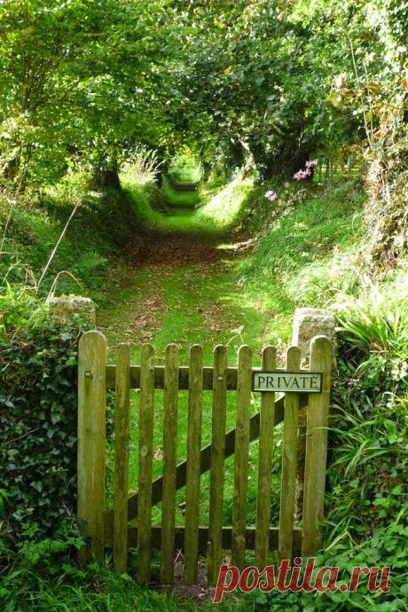 HOME & GARDEN: 40 инспирации для английского сада