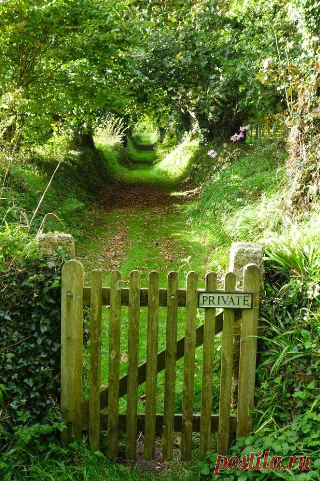 HOME & GARDEN: 40 инспирации для английского сада