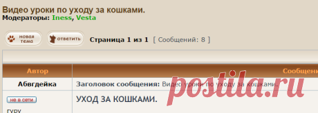 Видео уроки по уходу за кошками. • Форум КОТОДОМ
