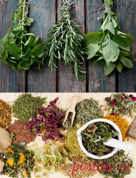 цитата valia_by : ПОЛЕЗНЫЙ СПИСОК ПРОТИВОПОКАЗАНИЙ ЦЕЛЕБНЫХ ТРАВ, ОВОЩЕЙ, ФРУКТОВ И ЯГОД (11:51 01-03-2016) [4426181/385717649] - nimfa58@mail.ru - Почта Mail.Ru