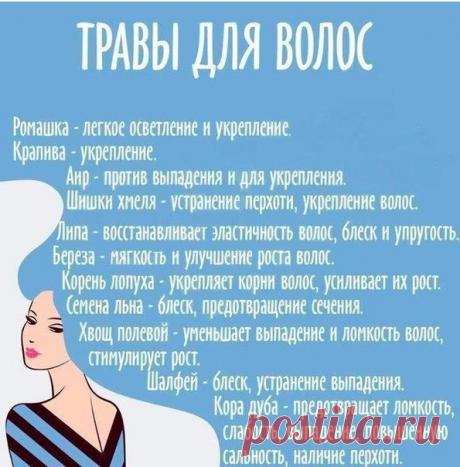 Шпаргалка на вес золота! | Краше Всех