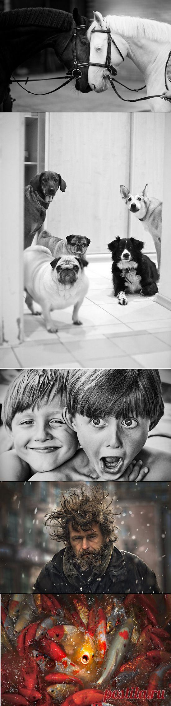 AdMe Photo Awards 2013. Лучшее за неделю