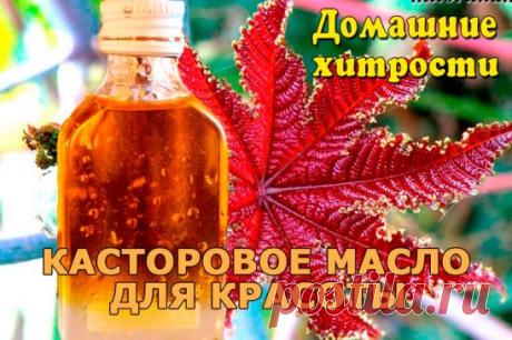 (68) Одноклассники