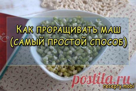 Как проращивать маш (самый простой способ)
✅Ингредиенты
маш;
вода.