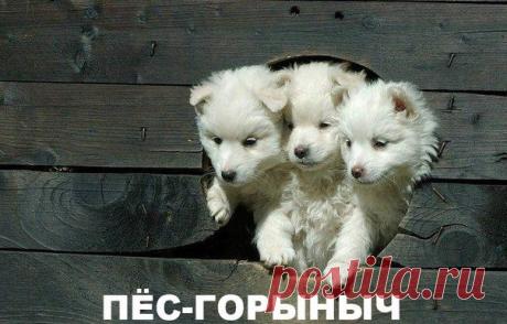 Лилия Советкина | ВКонтакте