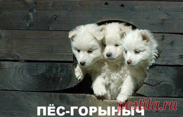 Лилия Советкина | ВКонтакте