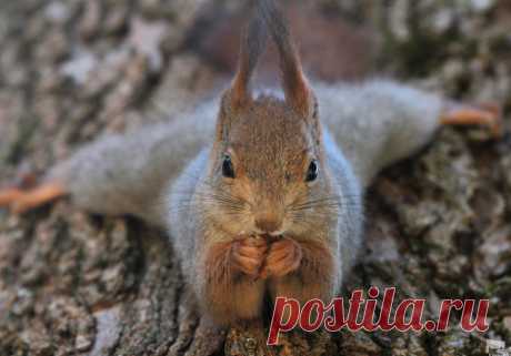 Удобная поза)