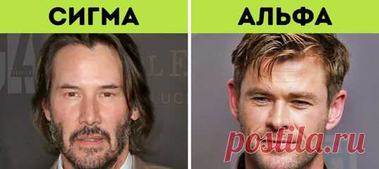 Кто такие сигма-самцы и почему они так популярны