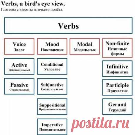 Учитель английского языка!