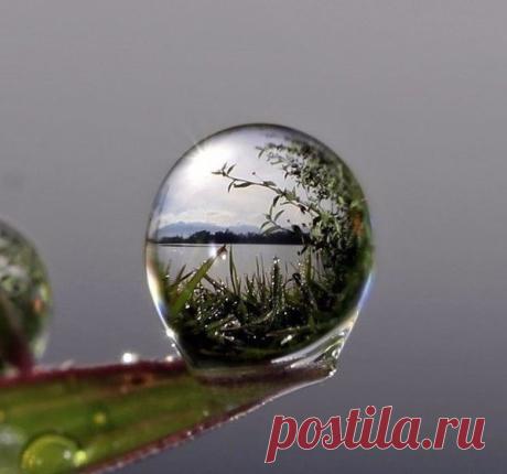 КАПЛИ НА ТРАВИНКЕ