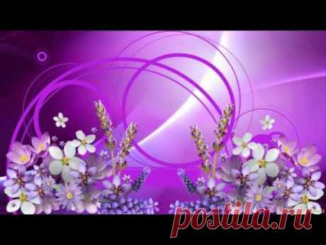 Футаж - Сиреневое настроение