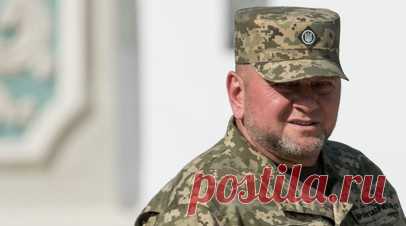 В деле о гибели помощника Залужного появилась статья о присвоении оружия. В деле о гибели помощника главнокомандующего Вооружёнными силами Украины Валерия Залужного Геннадия Частякова появилась статья о присвоении военнослужащими оружия. Читать далее
