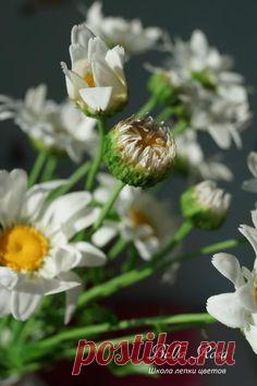 (59) Pinterest