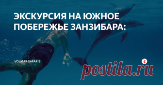 ЭКСКУРСИЯ НА ЮЖНОЕ ПОБЕРЕЖЬЕ ЗАНЗИБАРА:  Кизимками – рыбацкая деревня на южном побережье Занзибара – является домом для дельфинов, которые приплывают к местным берегам покормиться. Наблюдать за ними можно во время лодочной прогулки. Если повезет, вы сможете видеть стаи дельфинов, резвящихся в непосредственной близости от вас. В Кизимками вы также найдете великолепную мечеть 12 века, одну из наиболее ранних свидетельств прихода ислама в в