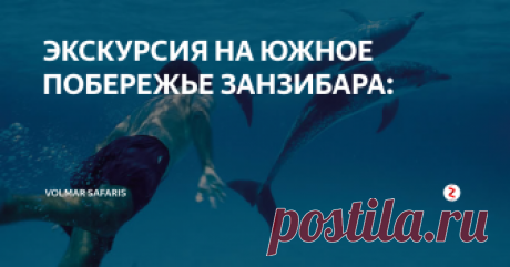 ЭКСКУРСИЯ НА ЮЖНОЕ ПОБЕРЕЖЬЕ ЗАНЗИБАРА:  Кизимками – рыбацкая деревня на южном побережье Занзибара – является домом для дельфинов, которые приплывают к местным берегам покормиться. Наблюдать за ними можно во время лодочной прогулки. Если повезет, вы сможете видеть стаи дельфинов, резвящихся в непосредственной близости от вас. В Кизимками вы также найдете великолепную мечеть 12 века, одну из наиболее ранних свидетельств прихода ислама в в