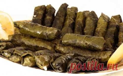 Долма из виноградных листьев — 6 классических рецептов