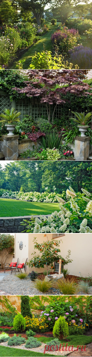 Ландшафтные группы: солитер, пара деревьев или массив - для красивого сада