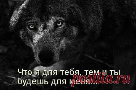 Одноклассники