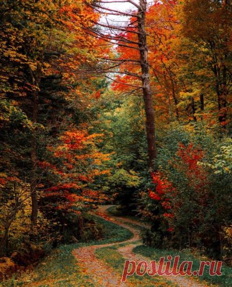 #Вермонт@discoverygroup