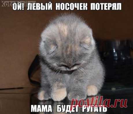 Носочек потерял...