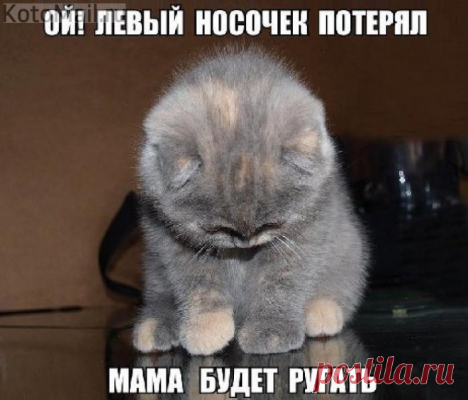 Носочек потерял...