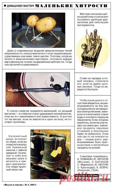 Маленькие хитрости (Наука и жизнь 2017-01)