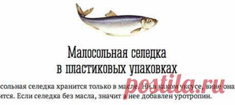 Знаете ли Вы?