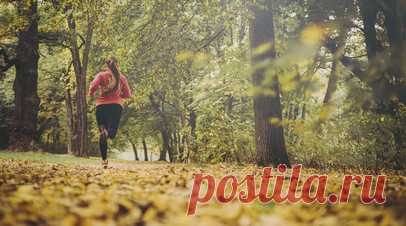 Россиянам объяснили, как уберечь себя от заболеваний во время осенней пробежки. Осенний период — время повышенного риска простуд и других заболеваний, поэтому спортсменам и любителям утренних пробежек стоит уделять больше внимания подготовке к тренировке, чем в летнее время. Читать далее