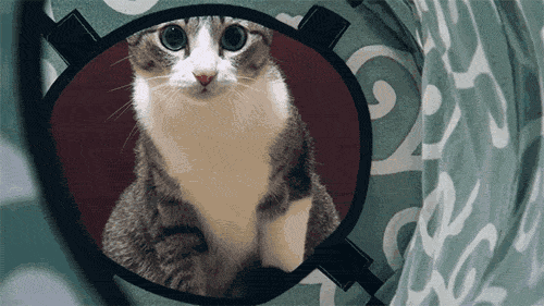 Мой Мир@Mail.Ru