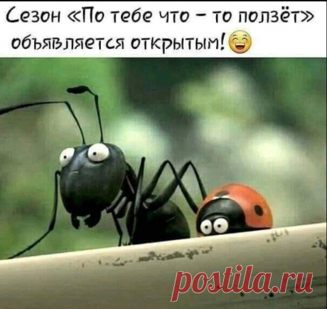 Одноклассники