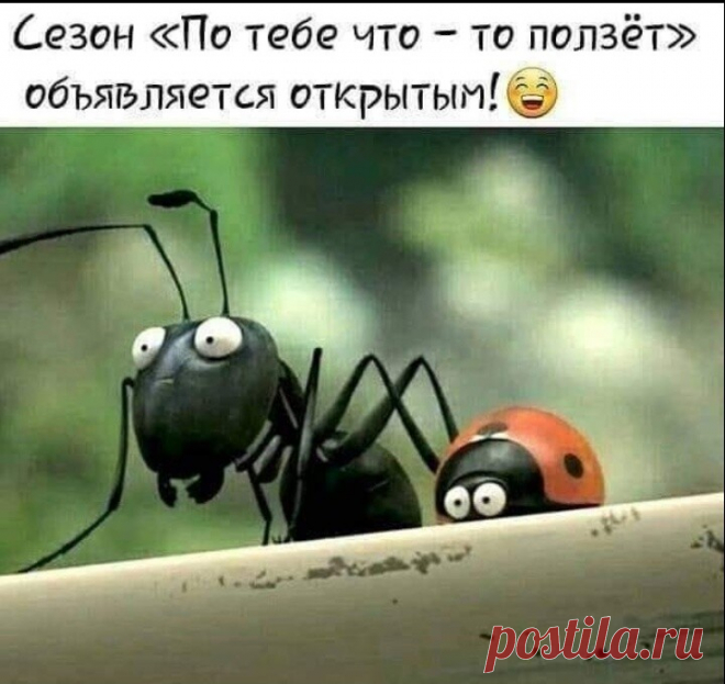Одноклассники