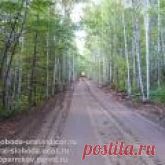 Земельные участки площадью 15 соток в собственность Продажа участков под сады (дачи) в поселке 