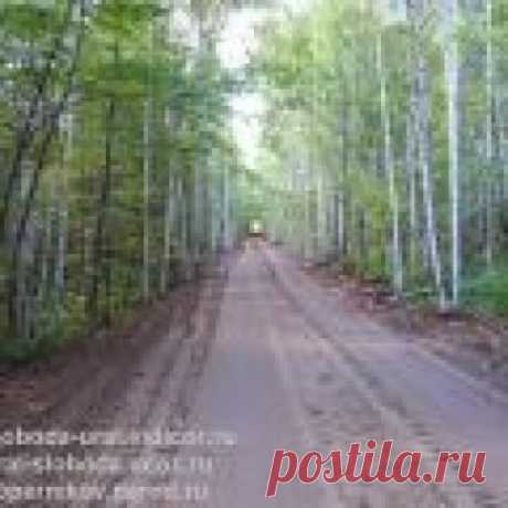 Земельные участки площадью 15 соток в собственность Продажа участков под сады (дачи) в поселке "Уральская слобода", расположенном в лесу недалеко от Екатеринбурга.