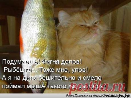 Интересные новости