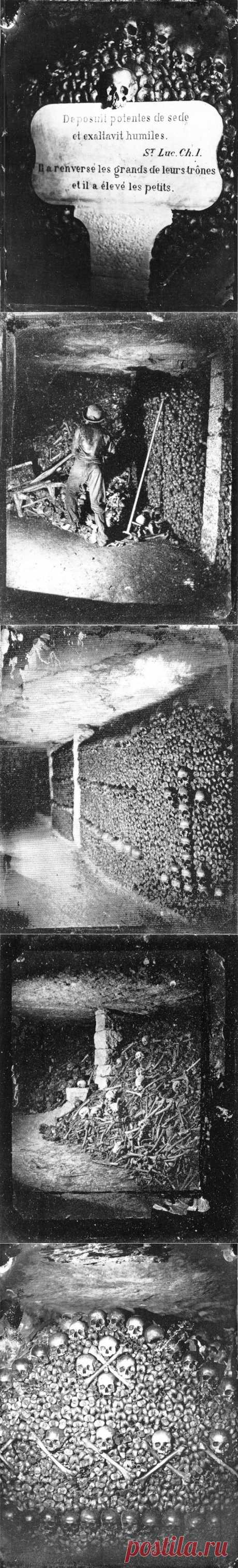 ФотоТелеграф » Катакомбы Парижа: история и современность