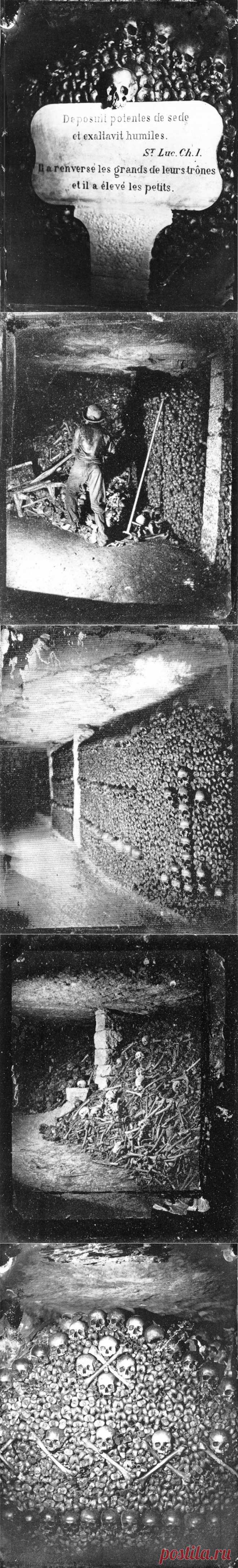 ФотоТелеграф » Катакомбы Парижа: история и современность