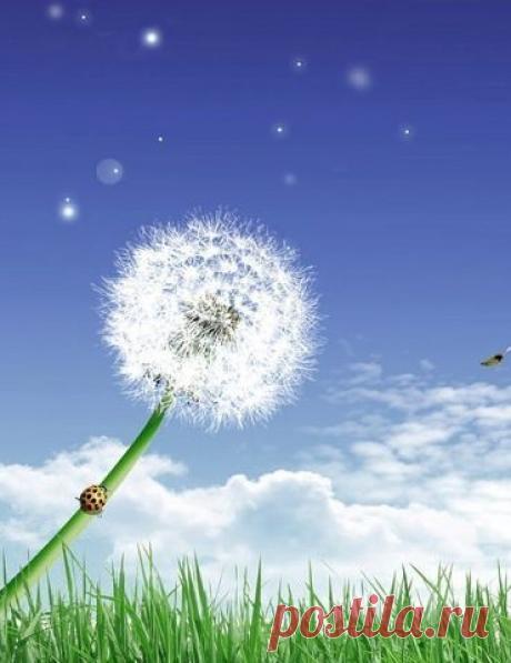 Шикарный букет
Ирина Иванова (Нечаева)