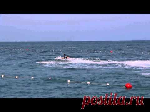 Летать без крыльев - можно! Но нужна вода... | ВИДЕОСМАК
